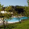 Piscina vista attraverso piante verdi, con colline e cielo azzurro dietro.